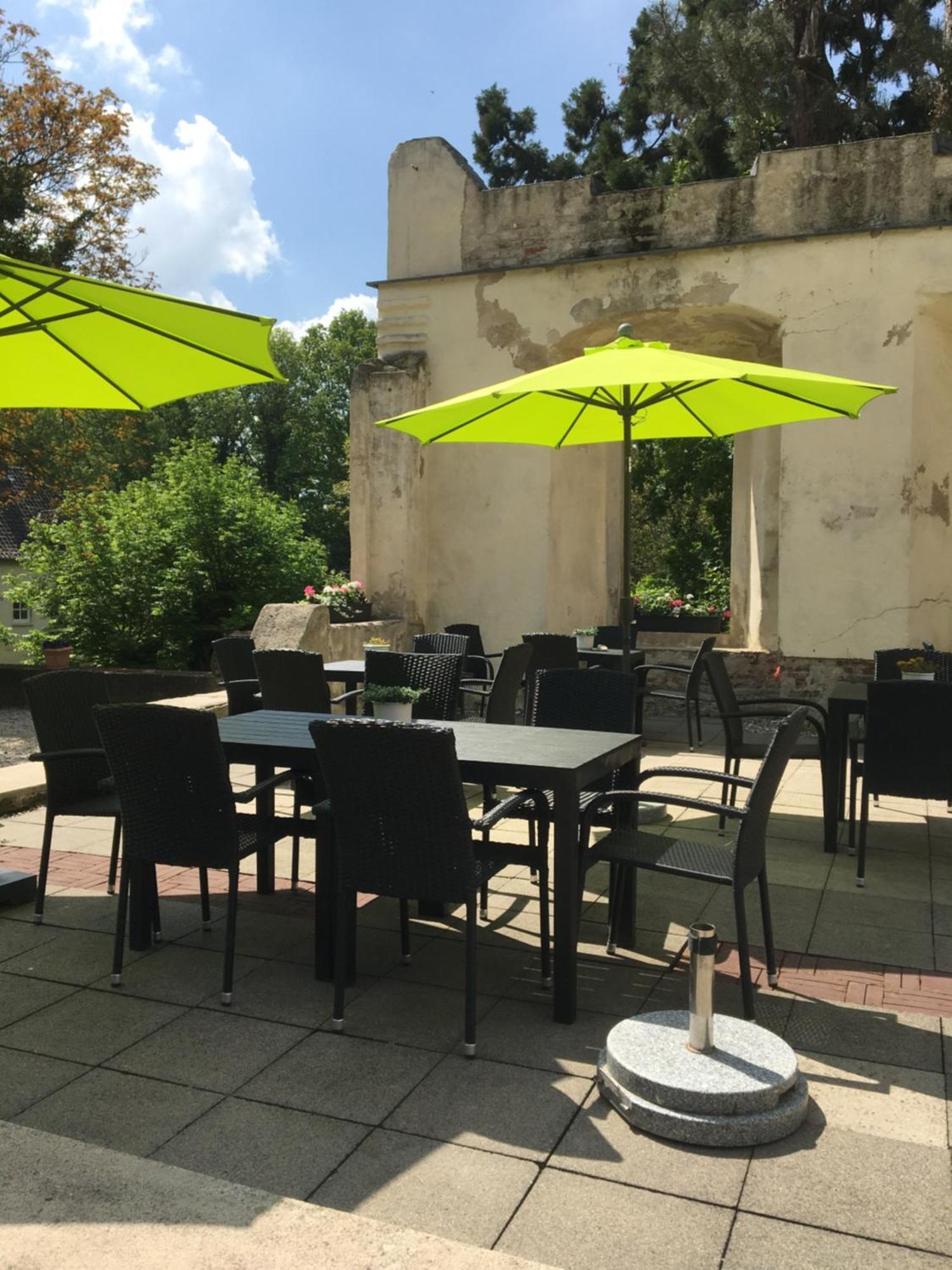 Burg Boetzelaer Hotel Калкар Екстериор снимка
