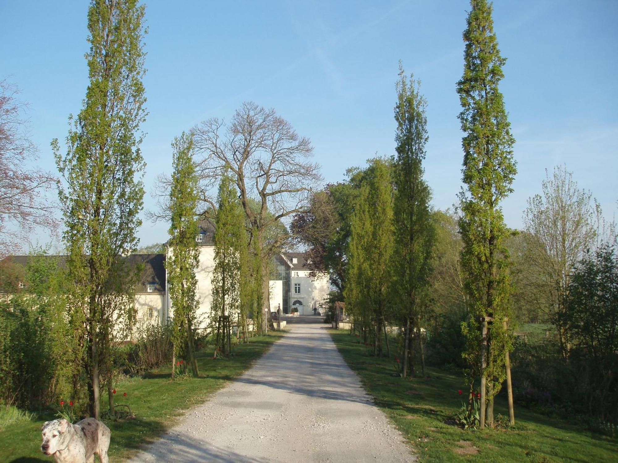 Burg Boetzelaer Hotel Калкар Екстериор снимка